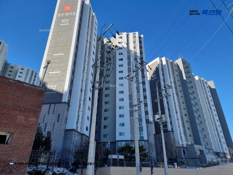 경매 이미지