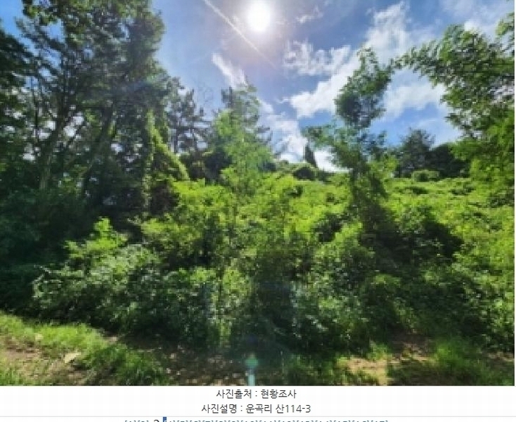 경매 이미지