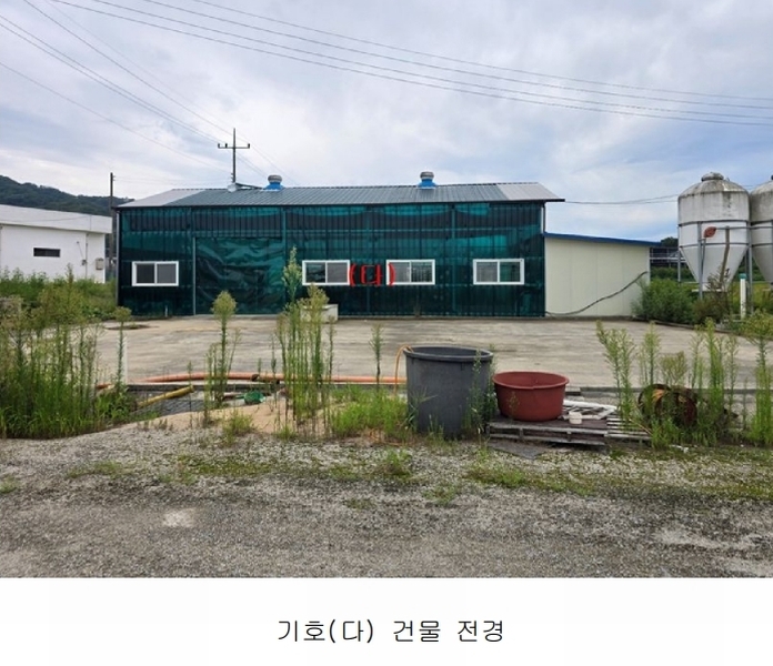 경매 이미지