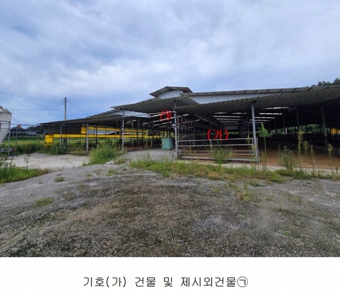 경매 이미지