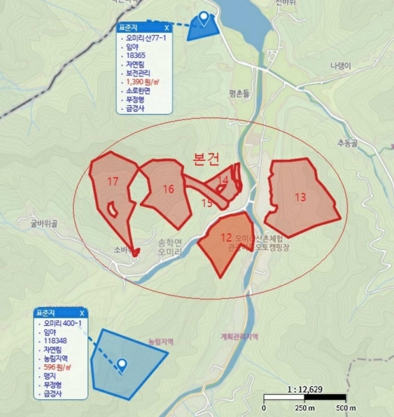 경매 이미지