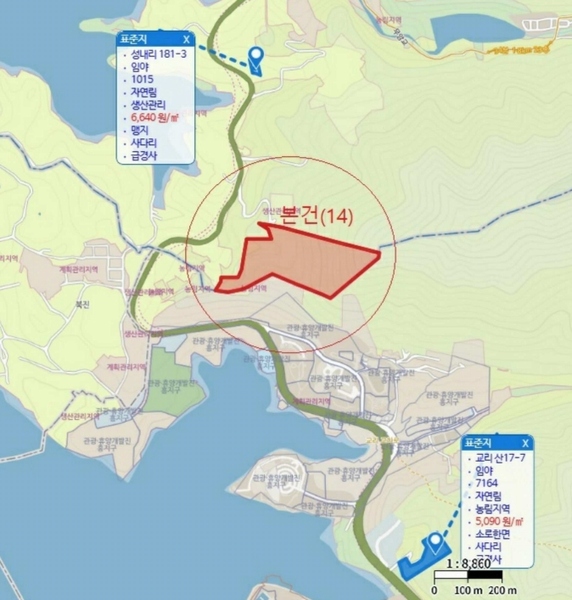 경매 이미지