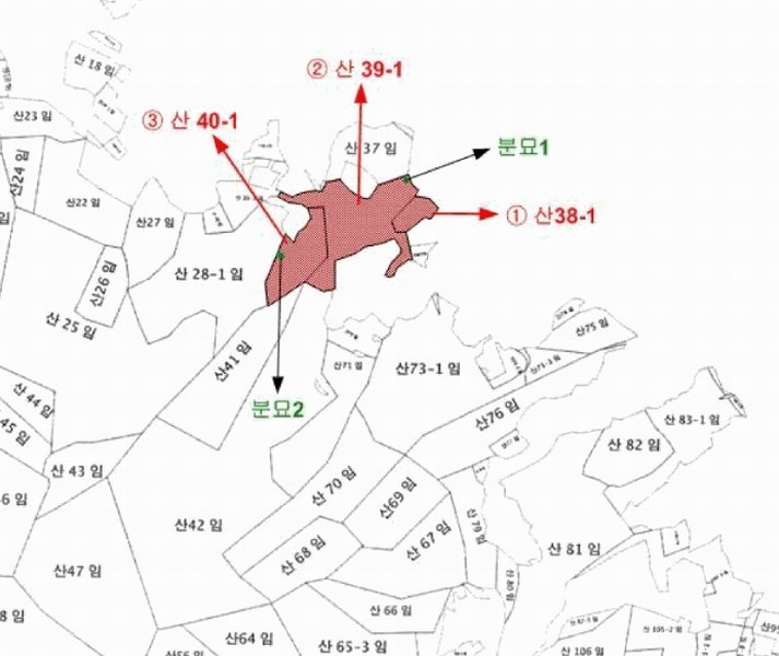 경매 이미지