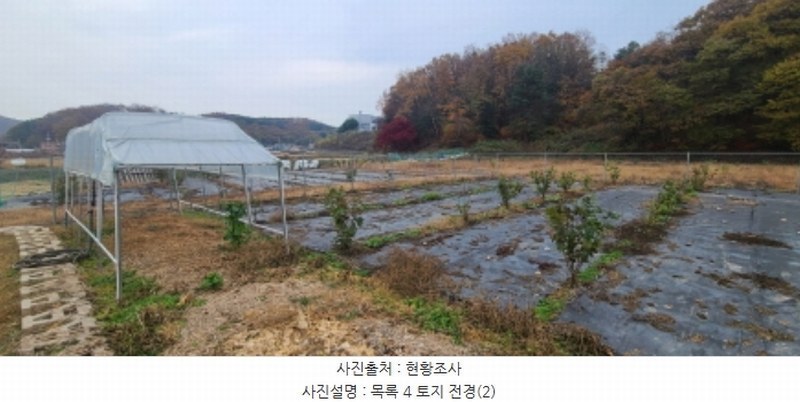 2024타경84089 경기도 파주시 문산읍 선유리 230-5 농지 경매 이미지