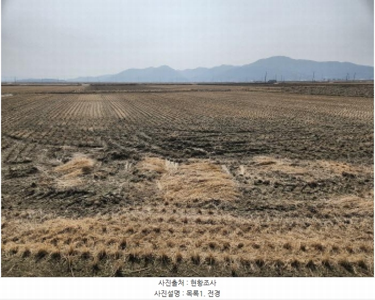2025타경508180 인천광역시 강화군 삼산면 상리 1079 농지 경매 이미지