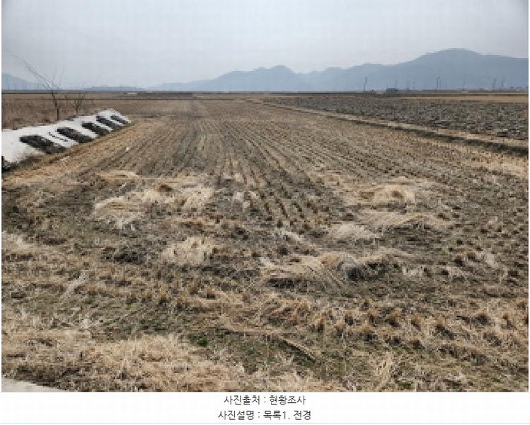 2025타경508180 인천광역시 강화군 삼산면 상리 1079 농지 경매 이미지