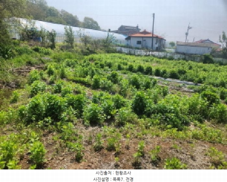 2025타경1024 인천광역시 강화군 교동면 서한리 702-5 주택 경매 이미지