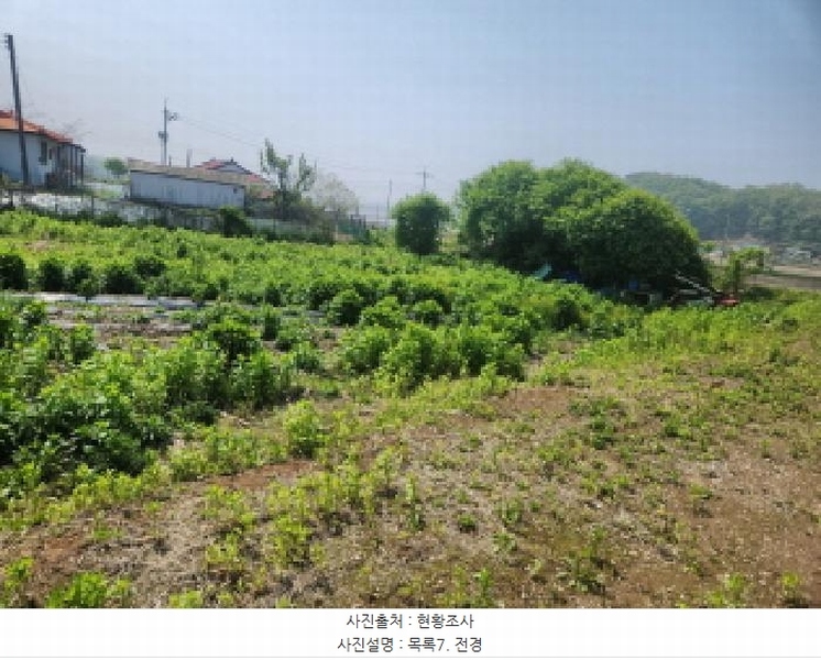 2025타경1024 인천광역시 강화군 교동면 서한리 702-5 주택 경매 이미지