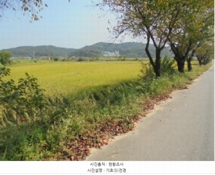 2025타경448 충청남도 부여군 석성면 석성리 1198 농지 경매 이미지