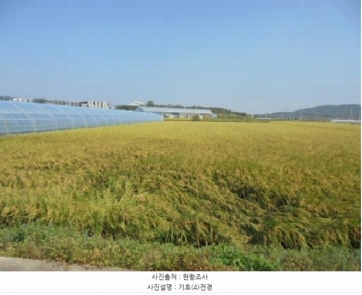 2025타경448 충청남도 부여군 석성면 석성리 1157-5 농지 경매 이미지