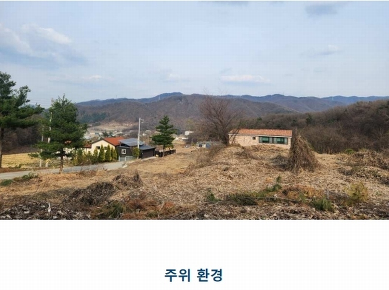 경매 이미지