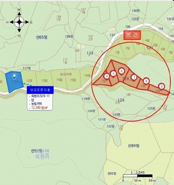 경매 이미지
