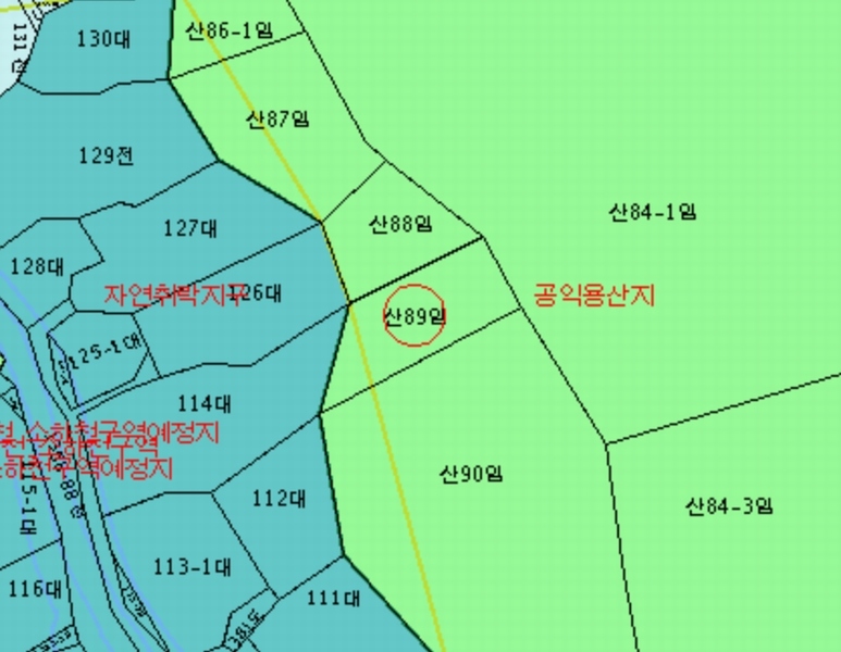 경매 이미지