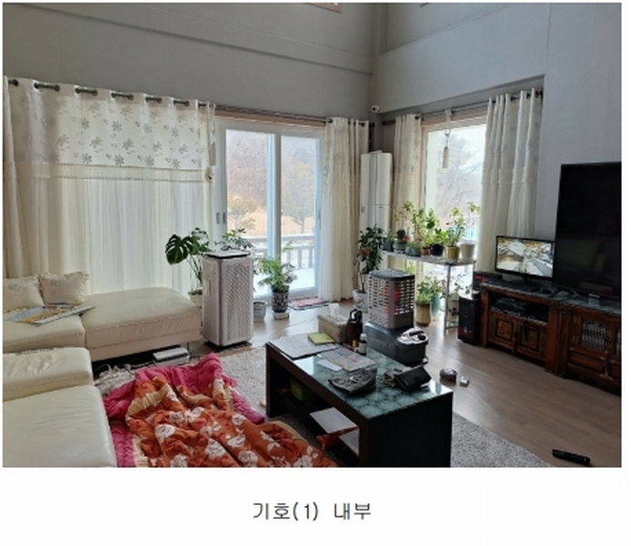 경매 이미지