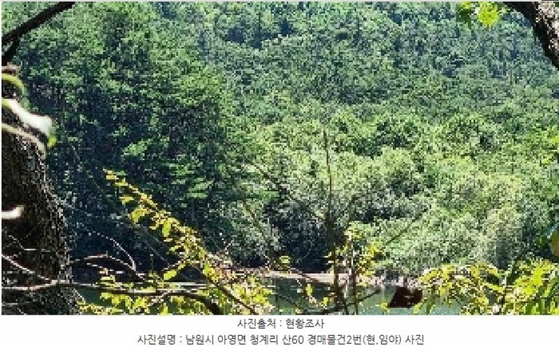 경매 이미지
