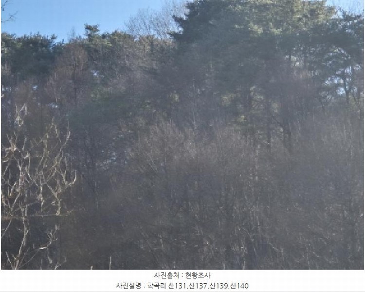 2024타경12079 경상북도 울진군 평해읍 거일리 산139 임야 경매 이미지