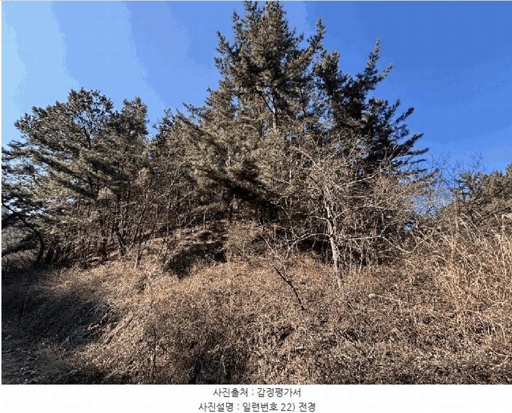 2024타경12079 경상북도 울진군 평해읍 거일리 산130 임야 경매 이미지