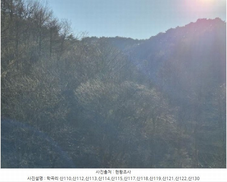 2024타경12079 경상북도 울진군 평해읍 거일리 산130 임야 경매 이미지