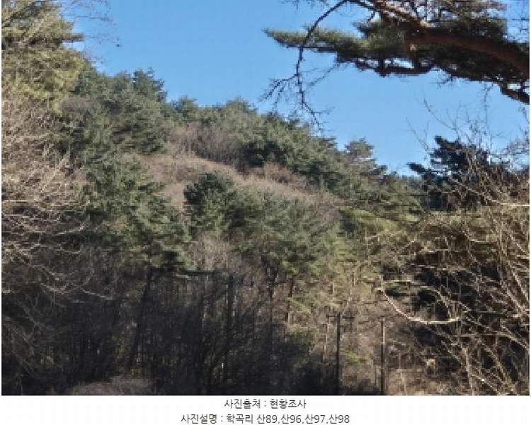 2024타경12079 경상북도 울진군 평해읍 거일리 산89 임야 경매 이미지