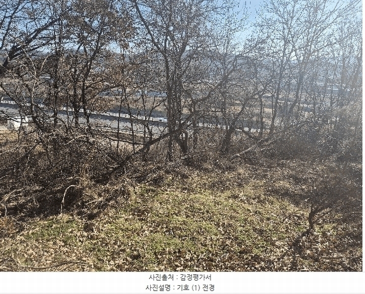 2025타경52201 충청북도 청주시 청원구 북이면 금암리 99-5 농지 경매 이미지