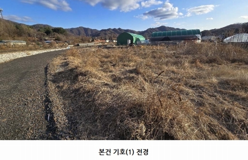경매 이미지