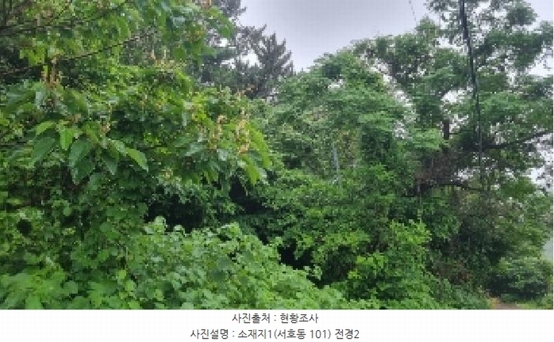 2025타경1380 제주특별자치도 서귀포시 서호동 101 임야 경매 이미지