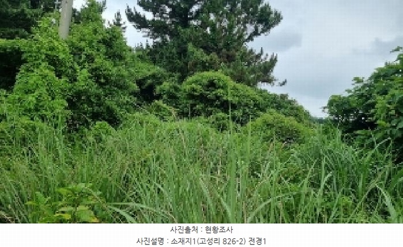 2025타경8253 제주특별자치도 서귀포시 성산읍 고성리 826-2 주유소(위험물) 경매 이미지