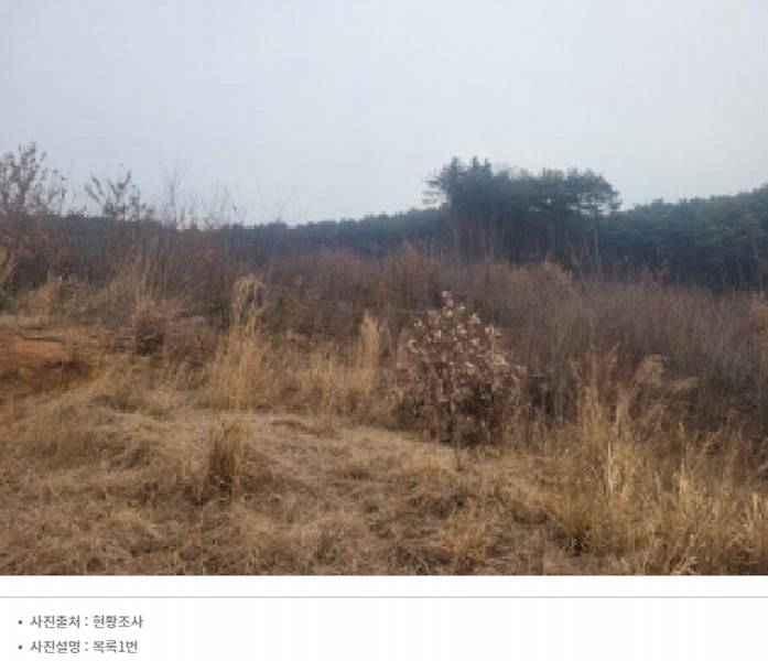 2025타경21 충청남도 공주시 의당면 수촌리 산13-23 임야 경매 이미지