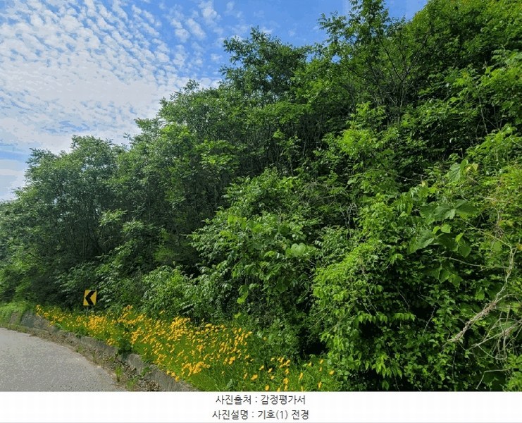2025타경20290 충청남도 청양군 대치면 형산리 15-1 임야 경매 이미지