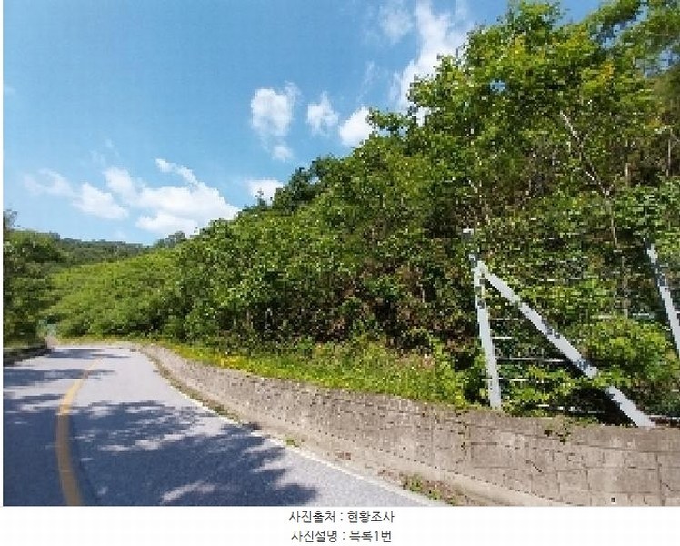 2025타경20290 충청남도 청양군 대치면 형산리 15-1 임야 경매 이미지