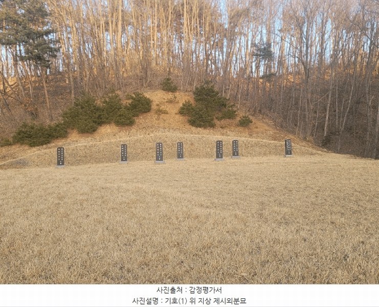 2025타경20290 충청남도 청양군 대치면 형산리 15-1 임야 경매 이미지