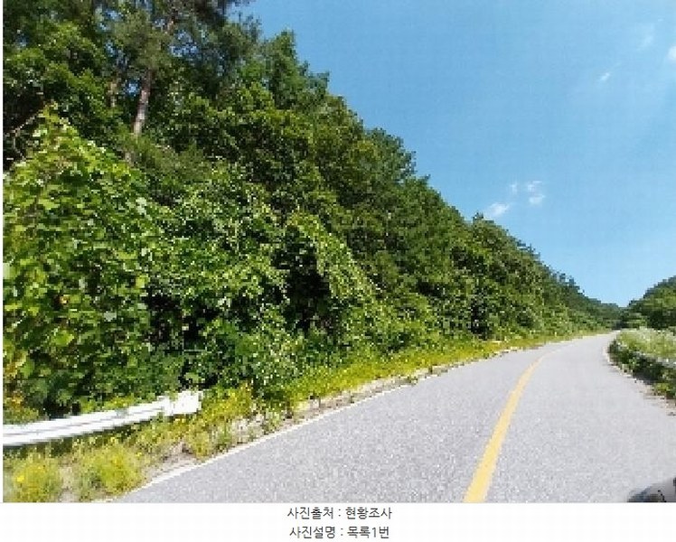 2025타경20290 충청남도 청양군 대치면 형산리 15-1 임야 경매 이미지