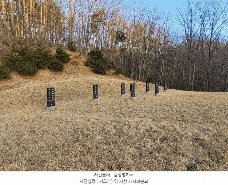 2025타경20290 충청남도 청양군 대치면 형산리 15-1 임야 경매 이미지