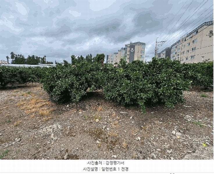 2025타경8341 제주특별자치도 서귀포시 호근동 1421-18 농지 경매 이미지