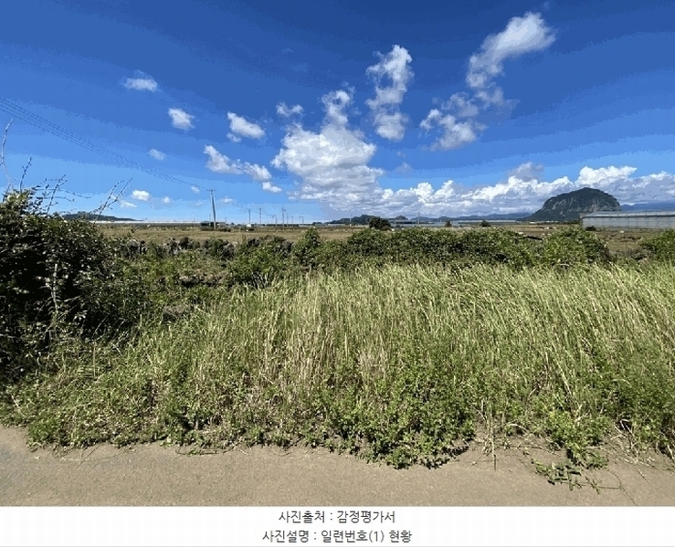 2025타경8591 제주특별자치도 서귀포시 대정읍 상모리 479-8 농지 경매 이미지