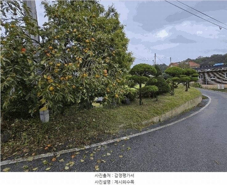 2025타경20506 충청남도 부여군 규암면 나복리 199 농지 경매 이미지