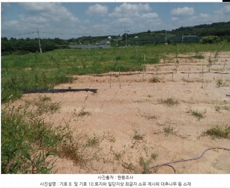 2025타경425 충청남도 논산시 은진면 용산리 163-6 농지 경매 이미지