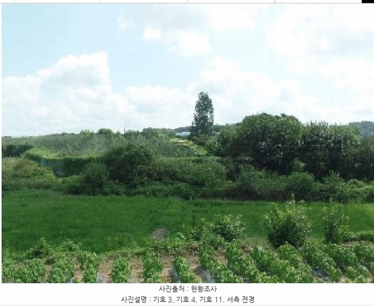 2025타경425 충청남도 논산시 은진면 용산리 163-6 농지 경매 이미지