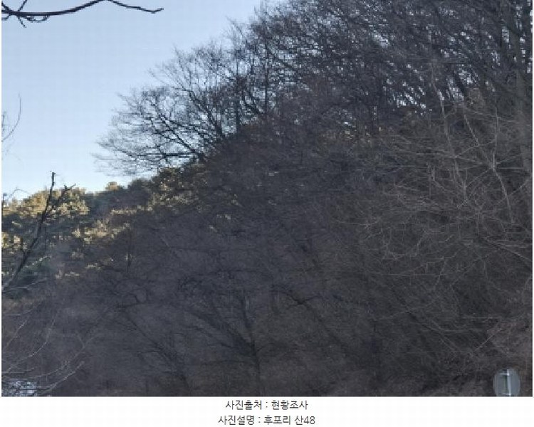 2024타경12079 경상북도 울진군 후포면 후포리 산48 임야 경매 이미지