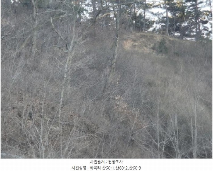 2024타경12079 경상북도 울진군 평해읍 학곡리 산60-2 임야 경매 이미지