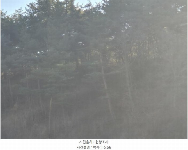 2024타경12079 경상북도 울진군 평해읍 학곡리 산52 임야 경매 이미지