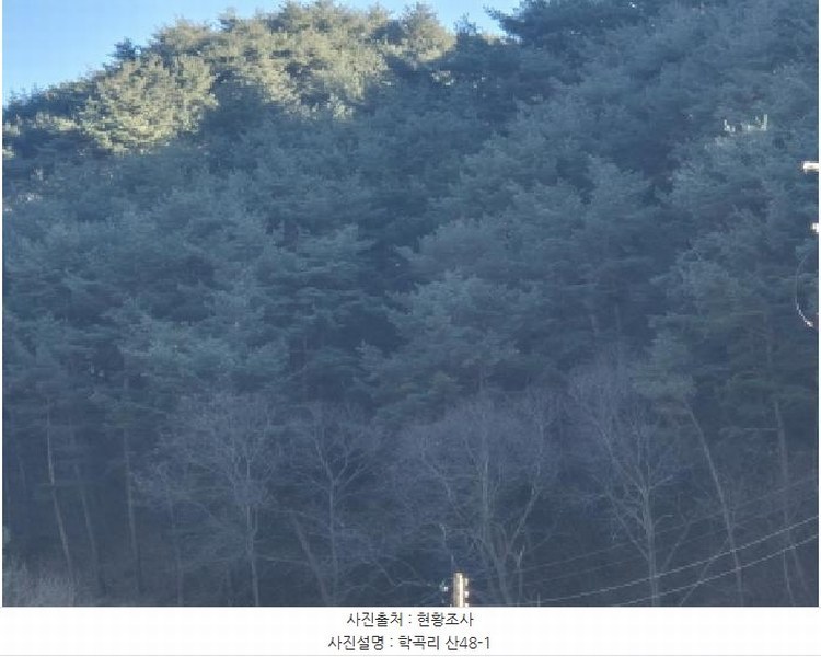 2024타경12079 경상북도 울진군 평해읍 학곡리 산48-1 임야 경매 이미지