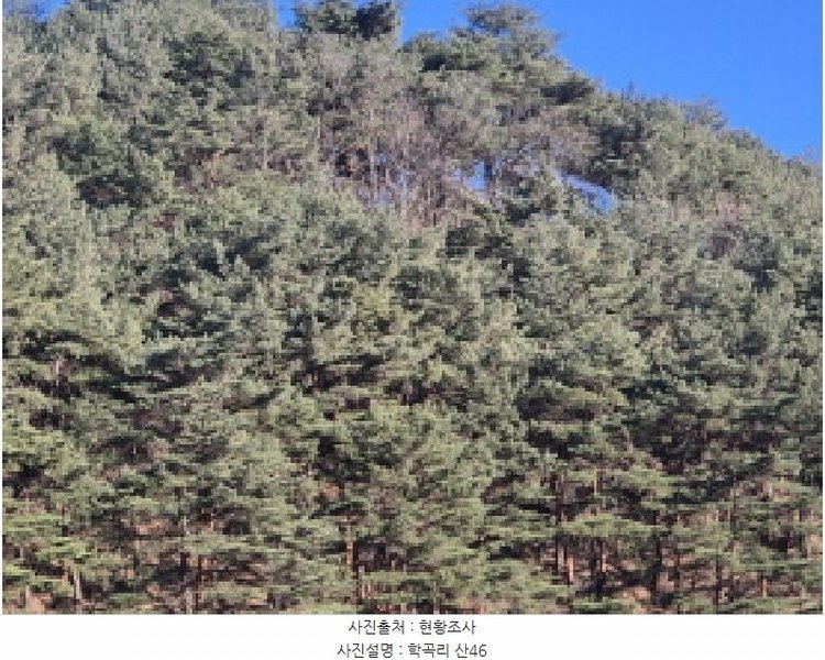 2024타경12079 경상북도 울진군 평해읍 학곡리 산46 임야 경매 이미지