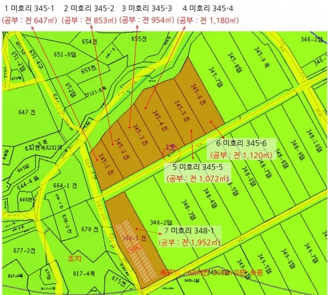 경매 이미지