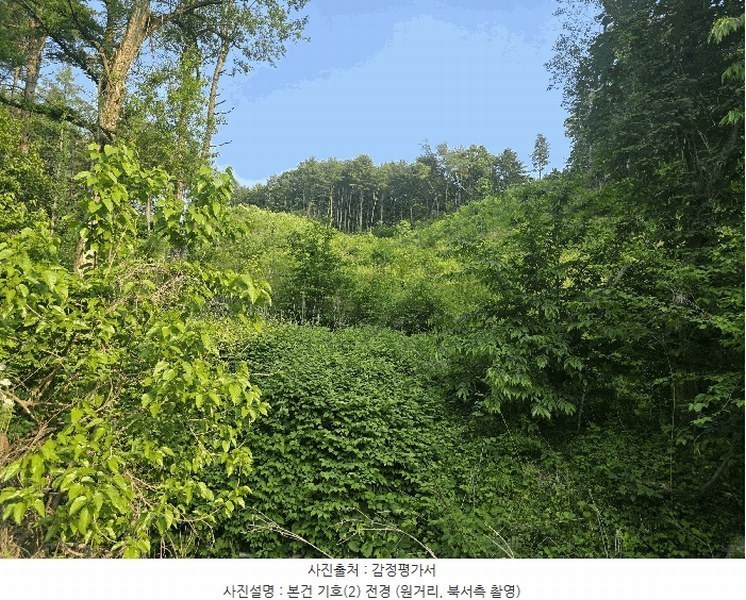 2025타경1938 경기도 가평군 상면 임초리 산116 임야 경매 이미지