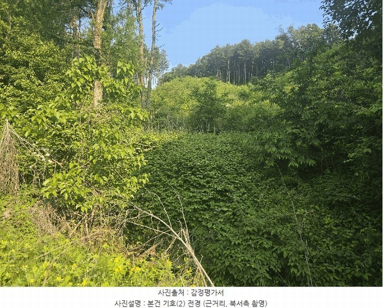 2025타경1938 경기도 가평군 상면 임초리 산116 임야 경매 이미지