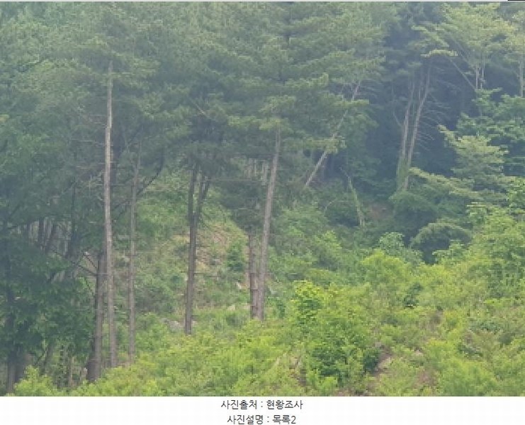 2025타경1938 경기도 가평군 상면 임초리 산116 임야 경매 이미지
