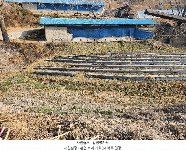 2025타경15567 충청남도 홍성군 광천읍 월림리 117-2 농지 경매 이미지