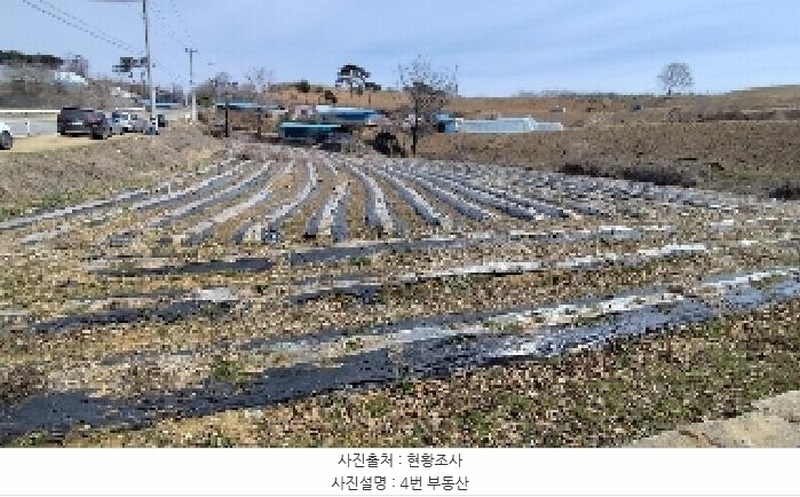 2025타경15567 충청남도 홍성군 광천읍 월림리 117-2 농지 경매 이미지