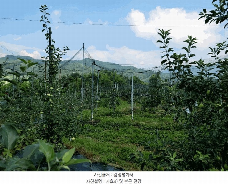 2025타경33255 전라남도 곡성군 겸면 송강리 672 농지 경매 이미지